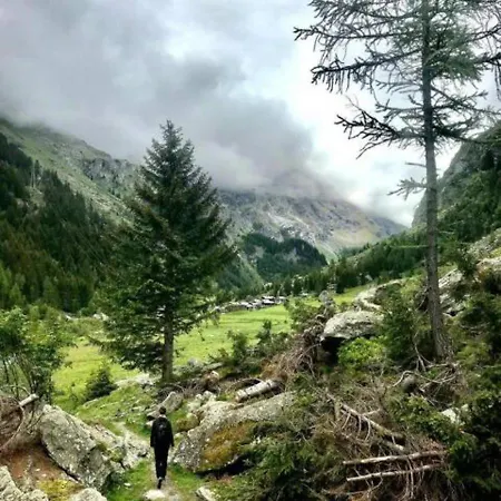 Les Combins A Volleges-Verbier Appt 8 Pers Volleges